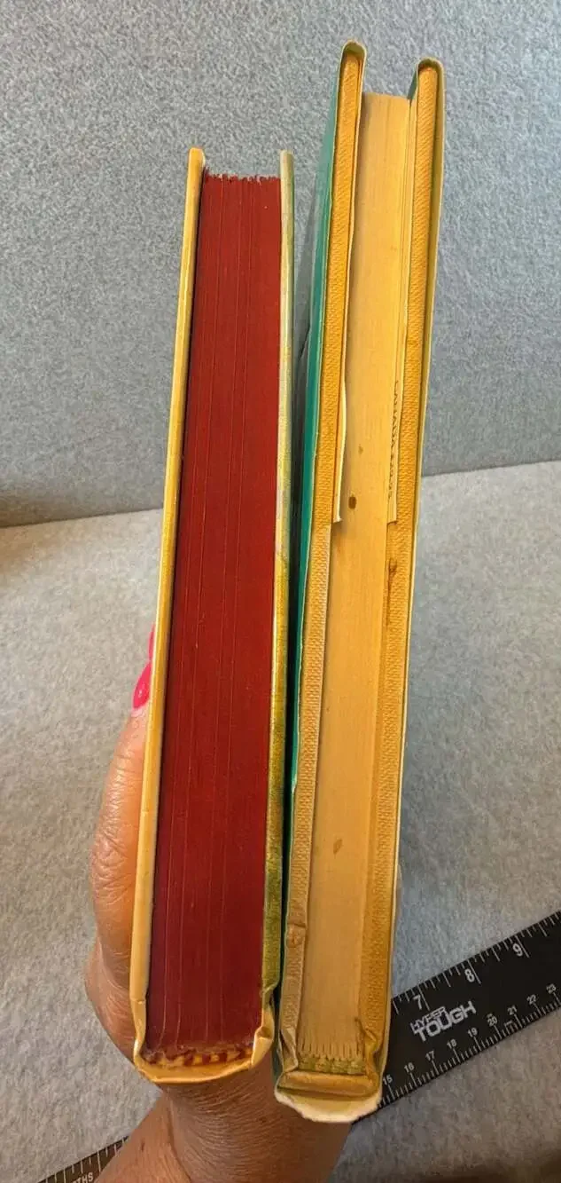 Anne of Green Gables 2 Book Bundle